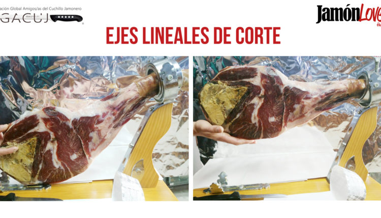 corte-paleta-ejes-lineales-de-corte-paletilla-jamonlovers