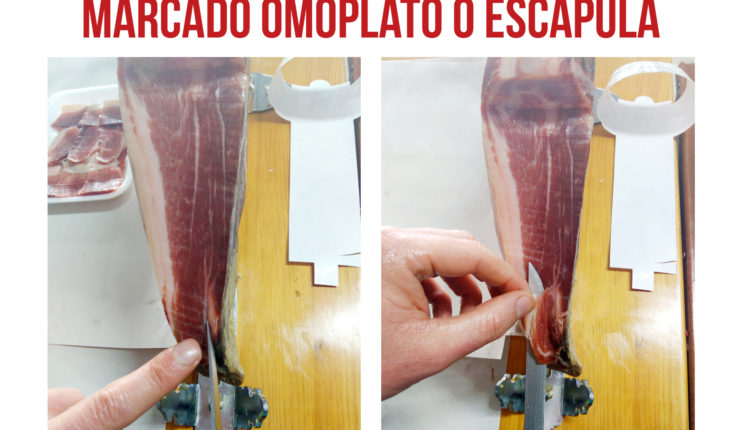 corte-paleta-marcado-omoplato-escapula-paletilla-jamonlovers