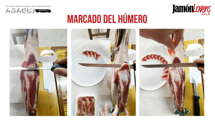 corte-paleta-marcar-humero-paletilla-jamonlovers