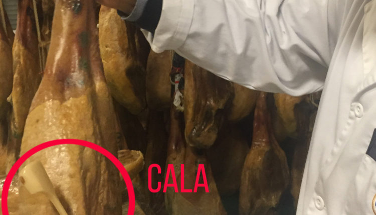 jamon-cala-como-seleccionar-pieza-jamon-iberico-jamonlovers