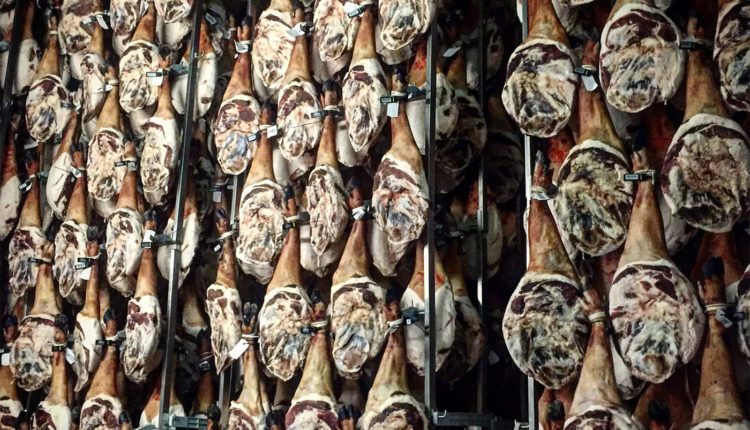 montanera-covap-visita-secaderos-jamon-jamonlovers