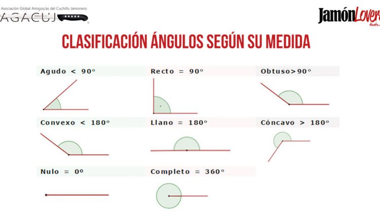 corte-paleta-clasificacion-angulos-cortar-paletilla-jamonlovers