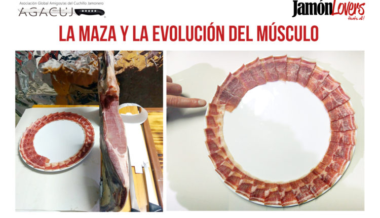 corte-paleta-la-maza-evolucion-musculo-paletilla-jamonlovers