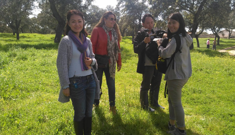 grabacion-dehesa-tv-singapour-jamon-iberico-jamonlovers