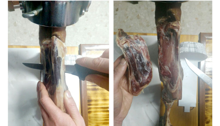 como-cortar-paletilla-extraccion-jarrete-corte-paleta-jamonlovers
