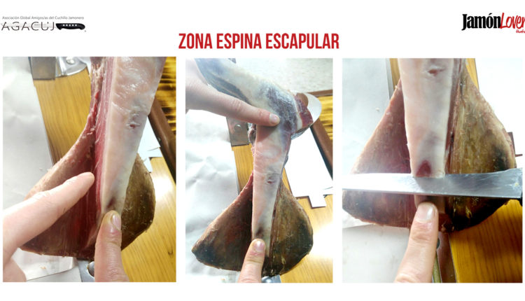 como-cortar-paletilla-zona-espina-escapular-corte-paleta-jamonlovers