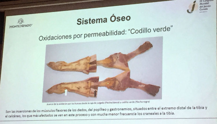 anomalias-jamon-codillo-verde-vicente-olmos-congreso-mundial-jamon-jamonlovers