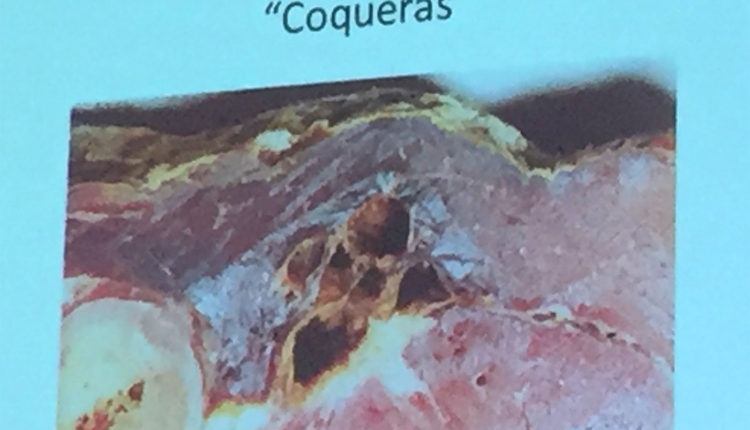 anomalias-jamon-coquera-vicente-olmos-congreso-mundial-jamon-jamonlovers