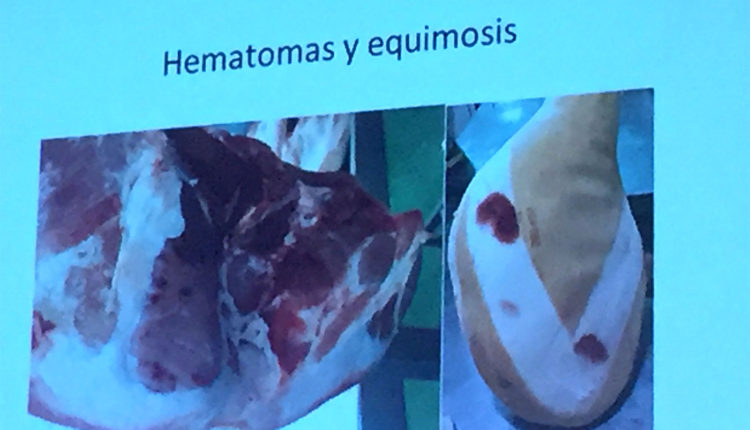anomalias-jamon-equimosis-petequias-hemorragias-vicente-olmos-congreso-mundial-jamon-jamonlovers