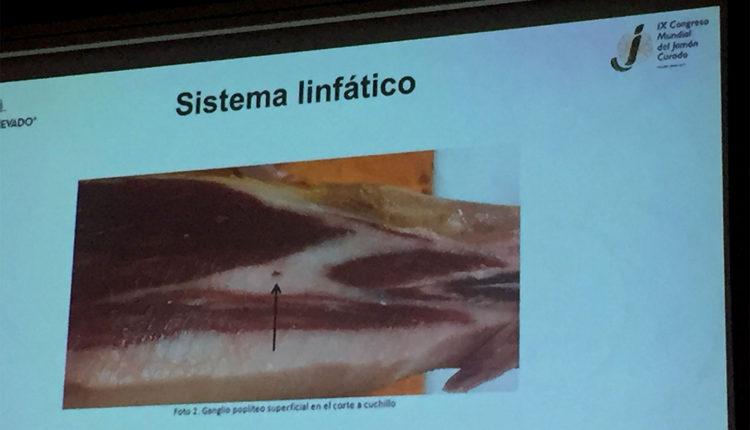 anomalias-jamon-ganglios-popliteos-vicente-olmos-congreso-mundial-jamon-jamonlovers