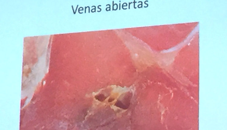 anomalias-jamon-venas-abiertas-vicente-olmos-congreso-mundial-jamon-jamonlovers