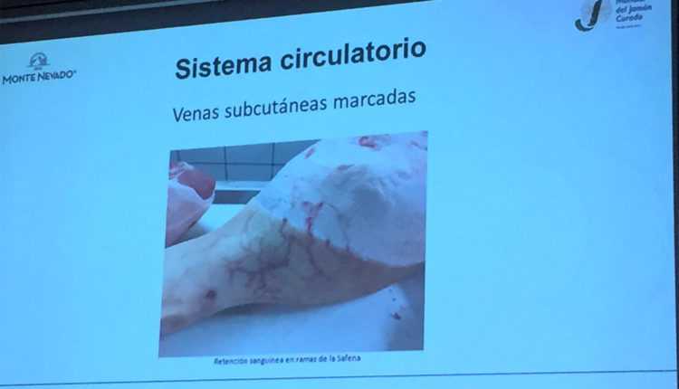 anomalias-jamon-venas-subcutaneas-vicente-olmos-congreso-mundial-jamon-jamonlovers
