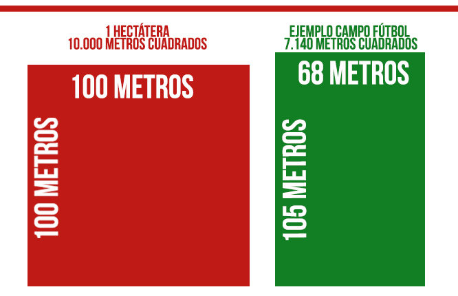 hectareas-cerdo-iberico-jamonlovers