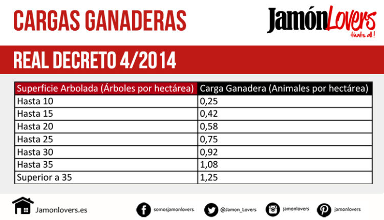 hectareas-cerdo-iberico-norma-iberico-cargas-ganaderas-jamonlovers