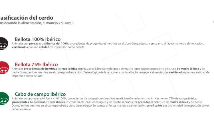 clasificacion-cerdo-dop-jamon-guijuelo