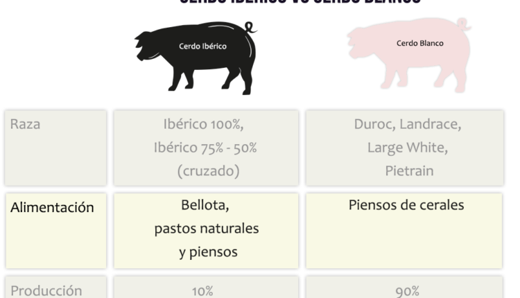 diferencias-jamon-blanco-jamon-iberico
