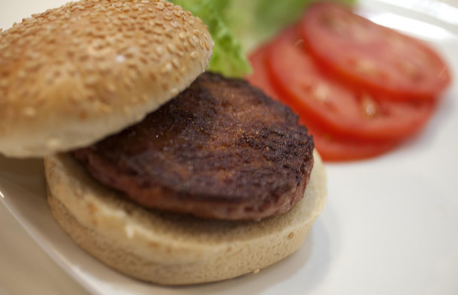 hamburguesa-in-vitro