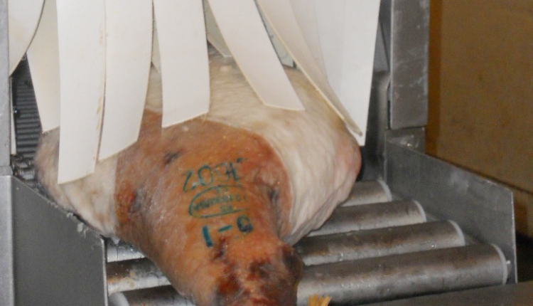 proceso-elaboracion-jamon-iberico-lavado-jamon