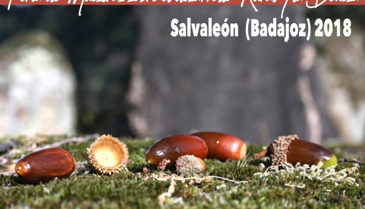 II Concurso Bellotas al Cubo, Salvaleón