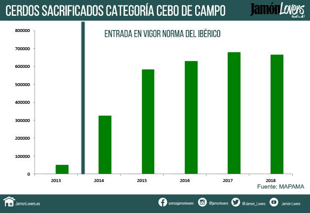 Jamón de cebo de Campo, Evolución cerdos sacrificados para la categoría cebo de campo
