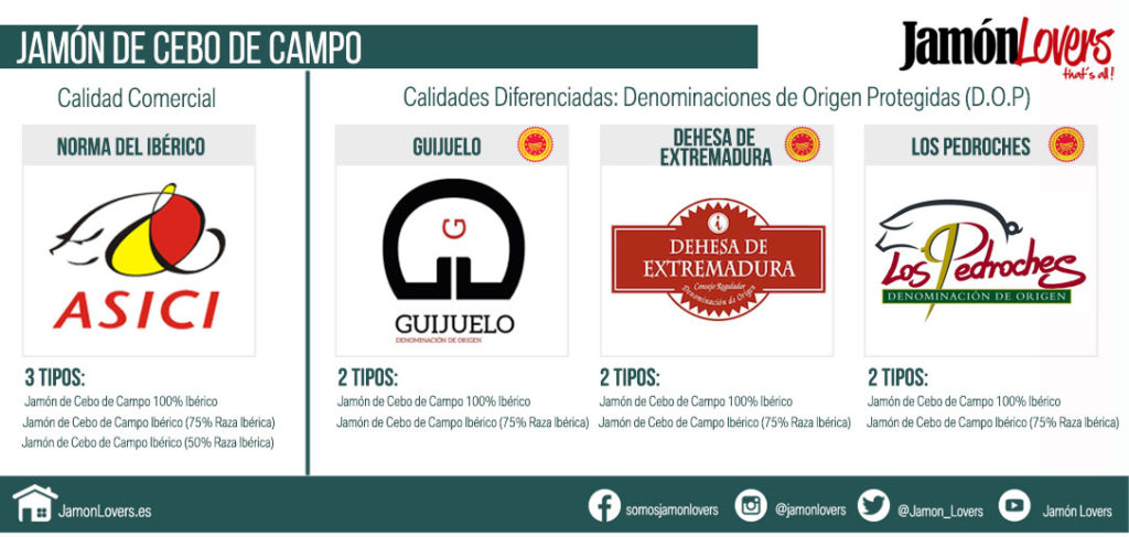 Jamón de Cebo de Campo Ibérico Tipologías