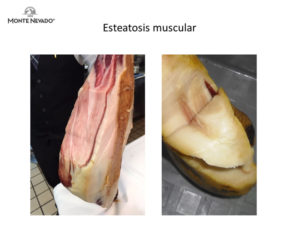 Esteatósis jamón