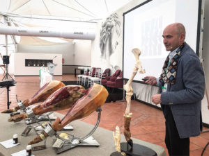 Juan Vicente Olmos Llorente, I Congreso AGACUJ