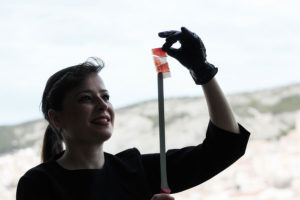 Luz Maria Zamorano Andrés