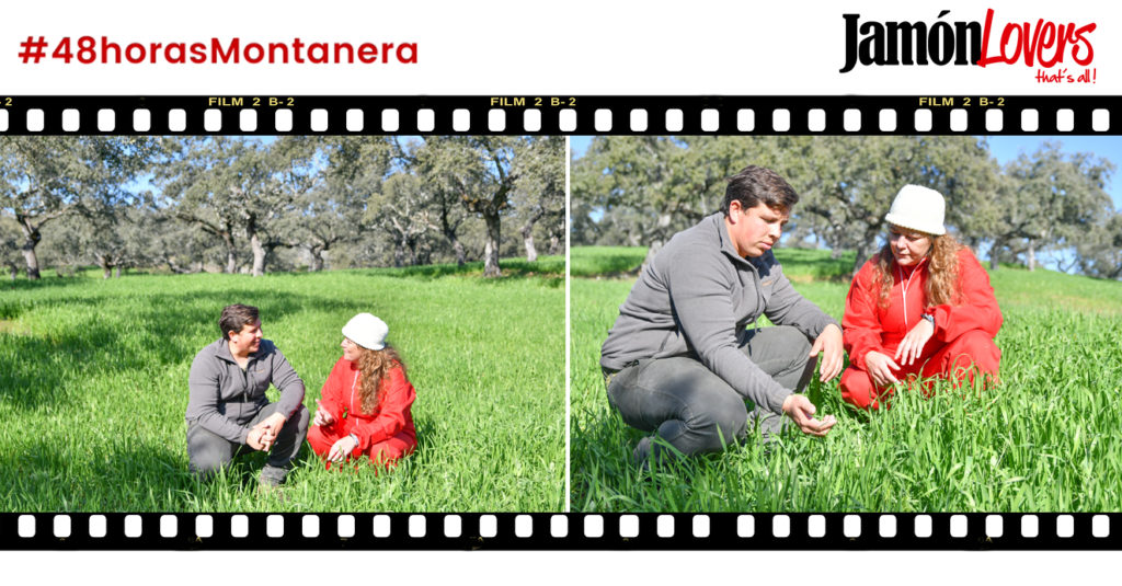 48 Horas Montanera: Capítulo 2. Como se complementa la alimentación en la dehesa