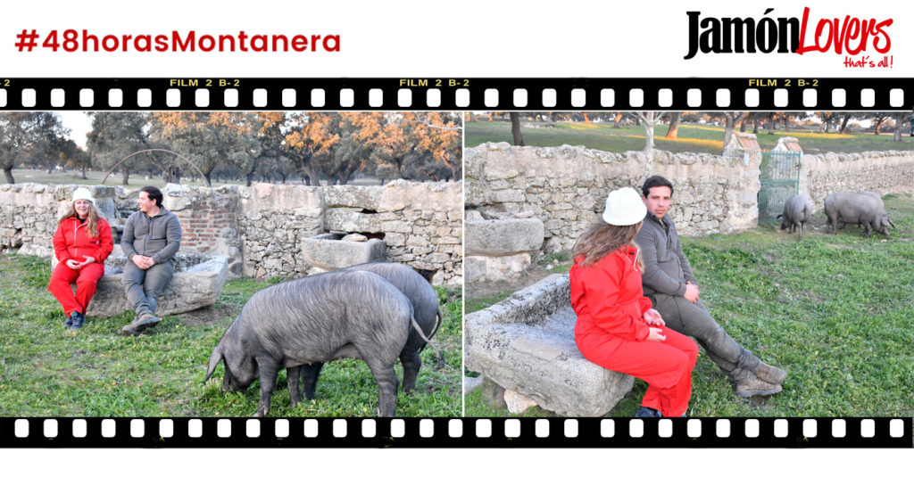 48 Horas Montanera: Capítulo 3. Charlas en la dehesa