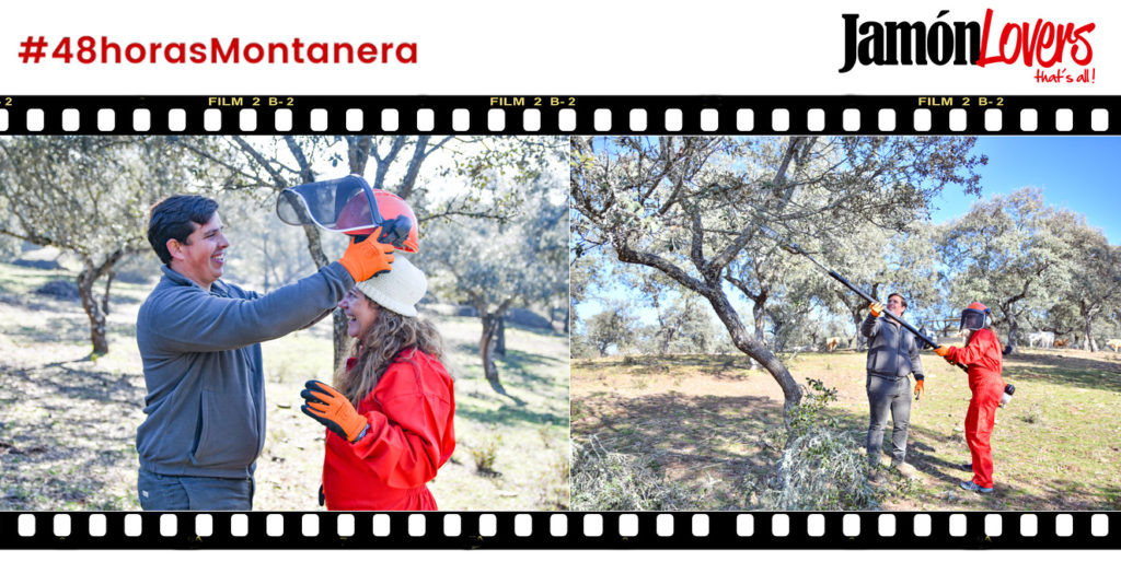 48 Horas Montanera: Capítulo 3. Cuidado de la dehesa, poda de encinas