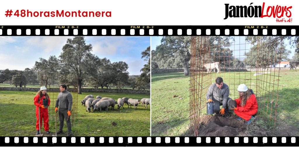 48 Horas Montanera: Capítulo 4. Plantamos la encina de Jamón Lovers