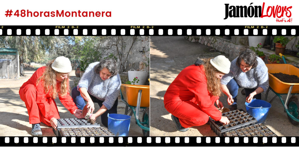 48 Horas Montanera: Capítulo 5. Repoblación de encinas, siembra de bellotas