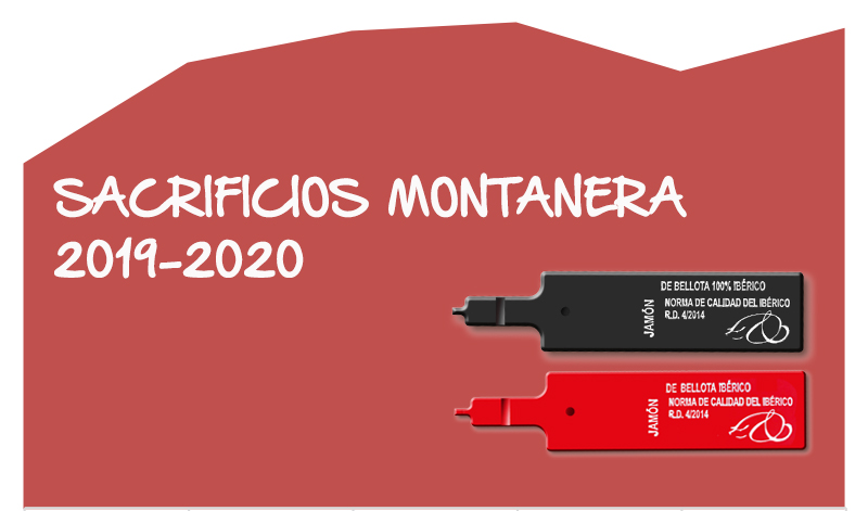 datos Montanera 2019-2020