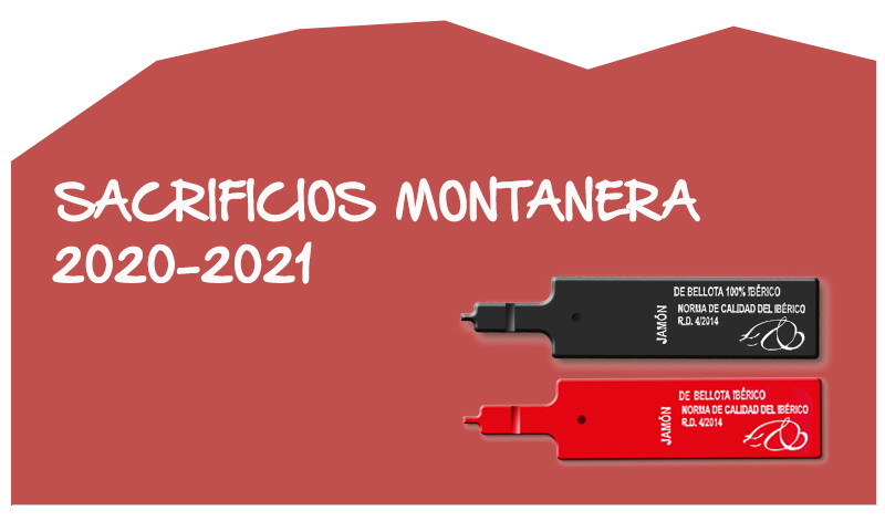 datos Montanera 2020-2021