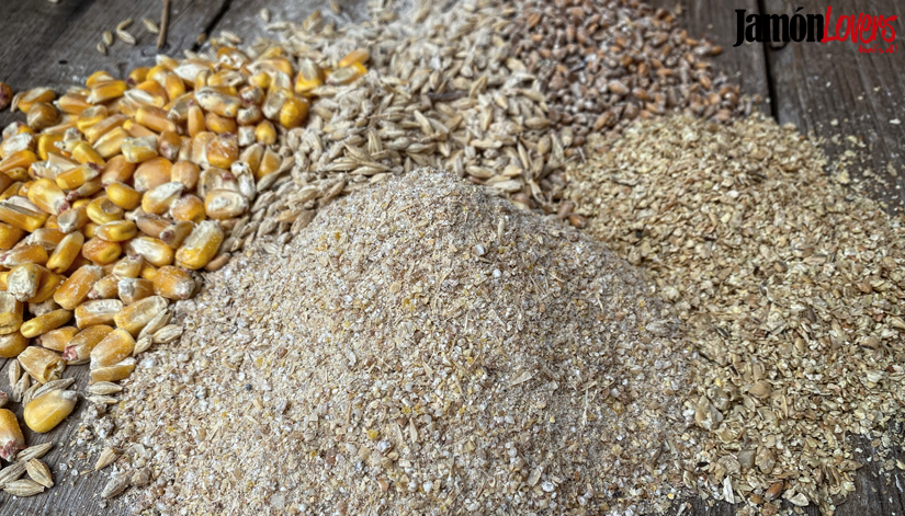 Alimentación a base de pienso ¿qué es el pienso? ¿cómo se elabora? 