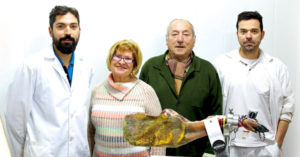 Dónde Comprar Jamón: Jamones Patabrava