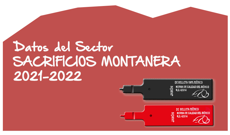 Datos Montanera 2021-2022, jamón ibérico