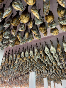 ¿Por qué se producen los mohos en el jamón?