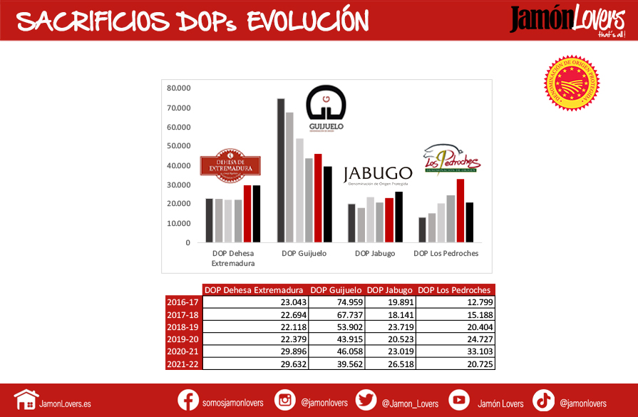 Evolución sacrificios Denominaciones de Origen Protegidas Montanera 21-22