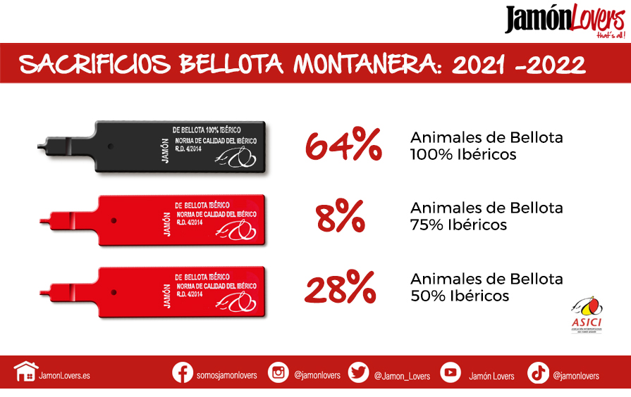 Sacrificios montanera 2021-2022 por tipo racial