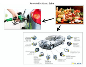 El jamón es un alimento funcional 