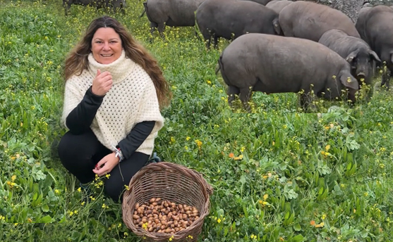 ¿Cuántos kilos de bellota y hierba come el cerdo ibérico al día durante la montanera?