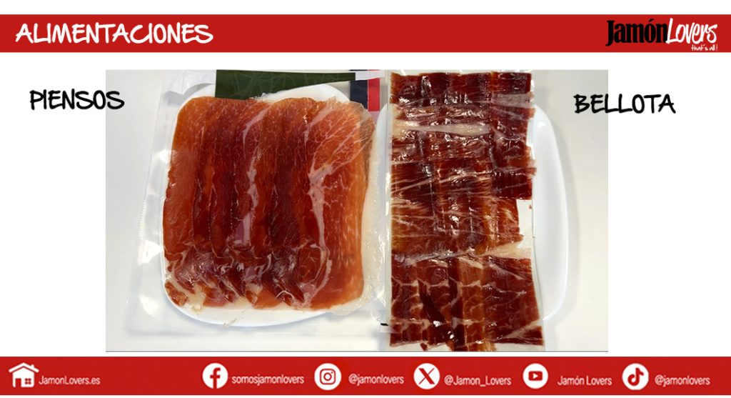 Alimentación piensos alto oleico vs alimentación montanera