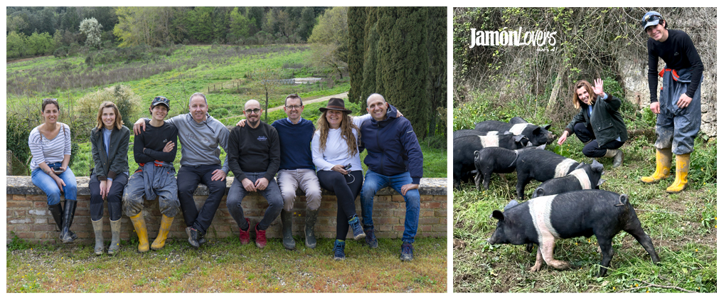 Prosciutto di Cinta Senese DOP, allevamento Fratelli Zanda, en la Ville di Corsano