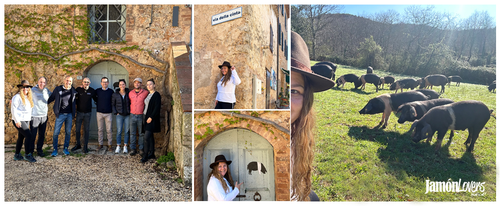 Prosciutto di Cinta Senese DOP Azienda Agricola Bezzini, Simignano (SI)