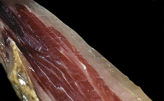 Participantes XXIV Concurso de Cortadores de Jamón de Monesterio