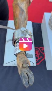 Limpieza Jamones XII Concurso de Cortadores de Jamón de Corteconcepción